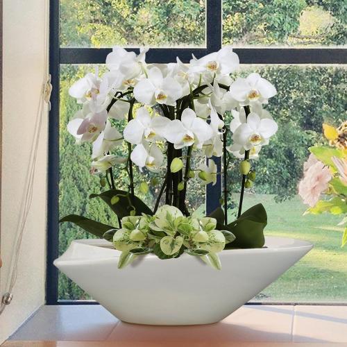 18 Inch Ceramic Bonsai Planter Pot with Drainage Hole, Glazed Large Plant Pot Succulent Planter for Indoor and Outdoor Plants Gray