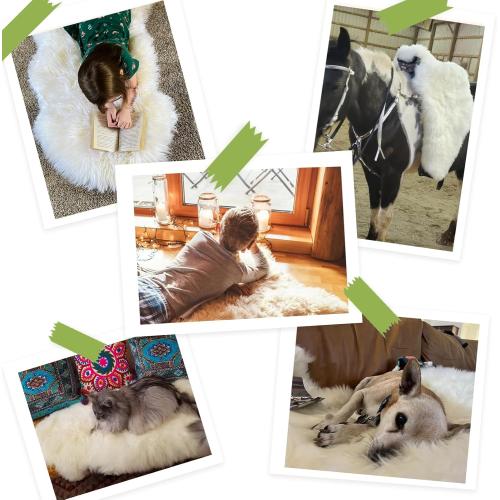 Premium Genuine Sheepskin Rug, Fuzzy Fluffy Shaggy Fur Wool Area Carpet for Soft Fur Pray Pup Mat,Bedroom,Living Room,Chair Sofa Seat Cover,Ivory White, 2' x 6'