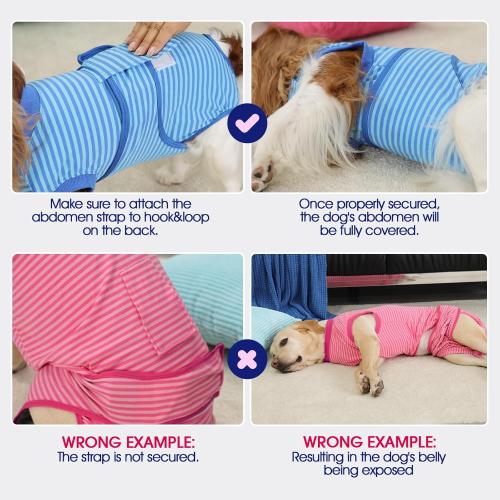 FUAMEY Surgery Suit for Dogs Female After Spayed, Soft Onesie for Surgery