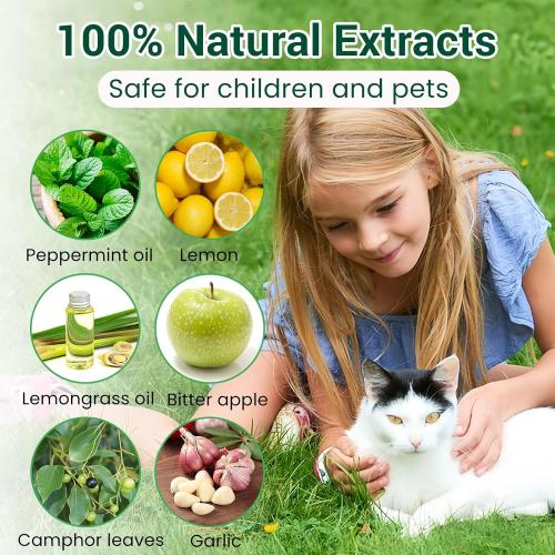 Cat Deterrent Outdoor, Natural Cat Deterrent Keep Cats Out of Yard Permanently, Cat Essentials for Indoor Cats Anti Scratch for Furniture Urination Garden Dog, Humane Educational Training Aids, 12 Pcs
