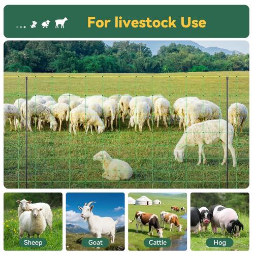Electric Fence Netting, 42.5 H x 164' L, Portable Livestock Net Fencing with Double-Spike Posts, Movable Mesh for Goats, Sheep, Hogs, Deer & Dogs, Predator Control for Backyard, Farm & Homestead