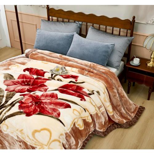 9 lbs Heavy Korean Mink Blanket,Silky Soft and Warm - Korean Style Queen Size 77 x 90, 9LB - 2 Ply Reversible Soft Warm Plush Raschel Blanket.