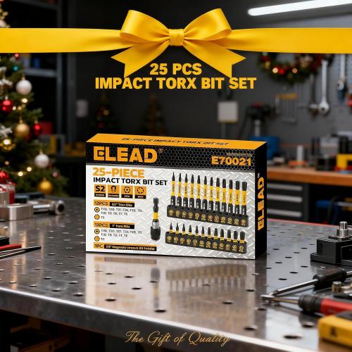 Tamper Proof Torx Bit Set, 25 Pieces T5-T40 Torx Security Bits Set, Torque Star Bits with 2.5 Magnetic Extension Bit Holder and Storage Box for Automotive, Electronics Repair