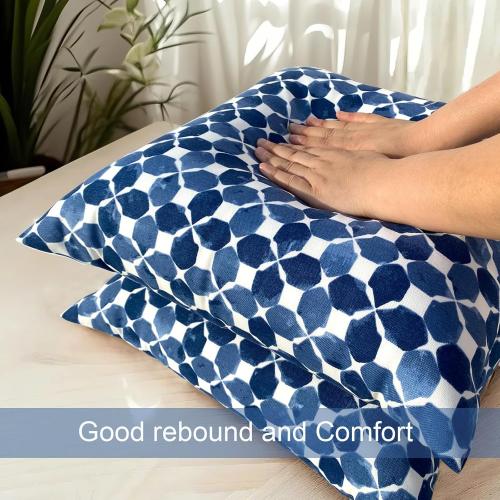 Set of 2 Size 18x18 Color Blue and White Outdoor/Indoor Throw Pillows, Pack of 2 Waterproof Decorative Throw Pillows with Inserts, 18”x18” Square Pillows for Bed, Couch, Sofa and Patio Furniture