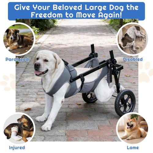 Snugrance Large Dog Wheelchair for Back Legs, Adjustable Rear Leg Wheelchair Support Cart with Breathable Air Mesh Harness for Arthritis Paralysis Post-Surgery Recovery, Check Size Chart Image for Fit