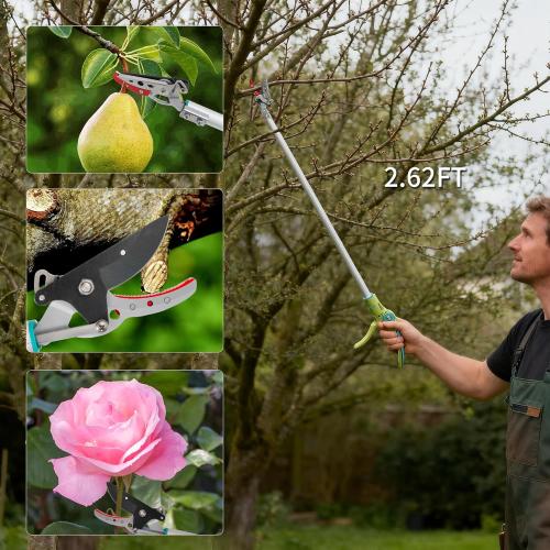 GARTOL 32 Inch Cut and Hold Pole Pruner - Lightweight Long Reach Tree Trimmer with Snip and Grip Technology, 1/2 Inch Cutting Capacity, One-Hand Use Fruit Picker for Roses, Persimmons & Tall Branches