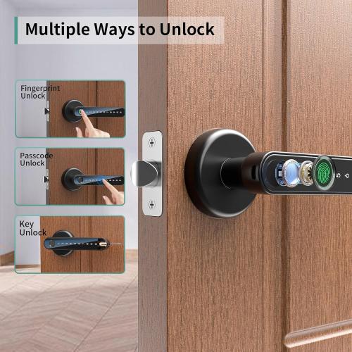 IRONZON Fingerprint Door Lock Biometric Door Lock with Keypad with Handle for Home Hotel Office Apartment Bedroom
