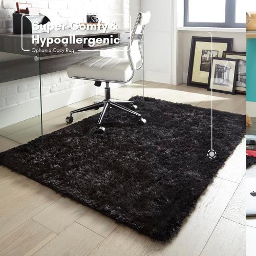 Ophanie 4x6 Charcoal Rugs for Bedroom, Fluffy Shaggy Soft Area Rug, Non-Slip Indoor Floor Carpet for Living Room, Kids Boys Teen Dorm Home Decor Aesthetic, Nursery