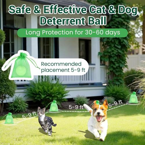 Cat Deterrent Outdoor, Natural Cat Deterrent Keep Cats Out of Yard Permanently, Cat Essentials for Indoor Cats Anti Scratch for Furniture Urination Garden Dog, Humane Educational Training Aids, 12 Pcs