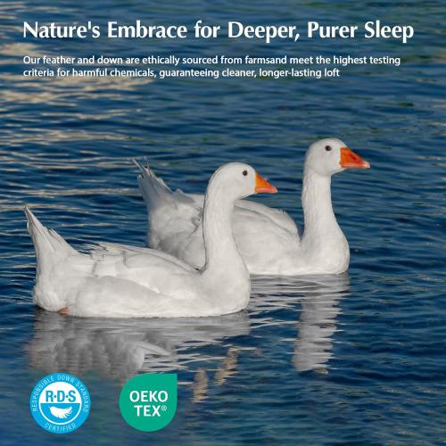 Pacific Coast Goose Feather Down Fiber Comforters Queen Size, Extra Fluffy White Duvet Insert, Ultra-Soft, Breathable, All Season Hotel Luxury Bedding Comforters
