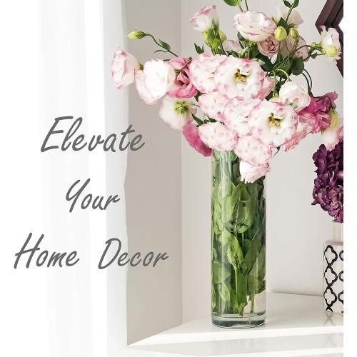 CYS EXCEL Cylinder Clear Glass Vase (H:20 D:6) | Multiple Size Choices Glass Flower Vase Centerpieces | Hurricane Floating Candle Holder Vase