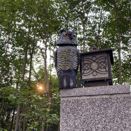 Owl Decoy 360 Rotate Head, Scarecrow Fake Owls Natural Enemy Realistic Owls to Scare Birds Away