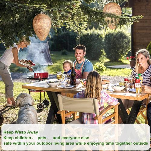 DECYOOL 2 Pack Wasp Nest Decoy Hanging Wasp for Wasps Hornets Yellow Jackets Outdoor Waterproof Material (Dark Brown)