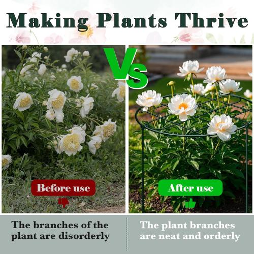 6 Pack 16 x 24 Inch Peony Cages and Supports Grow Through Plant Grid Support,Metal Plant Brace Support Peony Rings Hoops for Outdoor Plants Vegetables,Rose,Tomato,Orchids