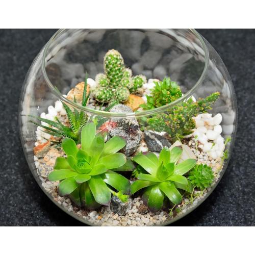 8 Pcs Bubble Bowl Vase Centerpiece 6''W x 5''H Round Glass Flower Vase Bulk Clear Terrarium Fish Bowl for Wedding Event Goldfish Planter Floral Centerpiece Office Home Decor
