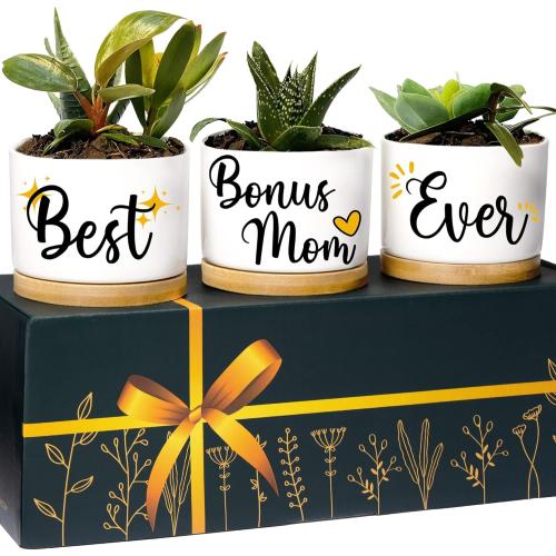 Rosa Vila Bonus Mom Planters, Bonus Mom Gifts from Son & Daughter, Best Ever Gifts for Stepmom Gifts for Mother-in-Law, Stepmom Presents for Birthday, Presents for Your Second Mother