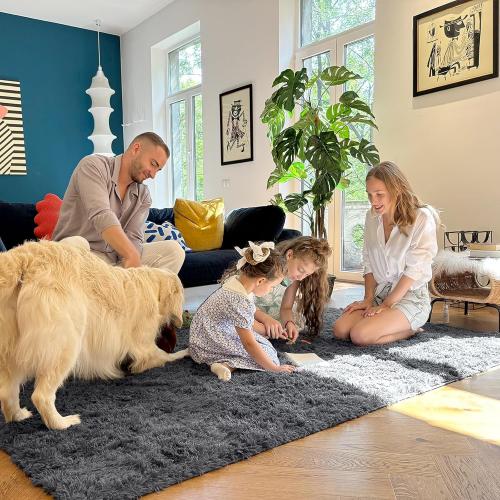 OLANLY 5x7 Machine Washable Large Area Rugs for Living Room, Bedroom, Soft Fluffy Shaggy Bedside Rug, Indoor Floor Carpet for Kids Girls and Boys, Dorms, Nursery, Home Decor Aesthetic, Grey