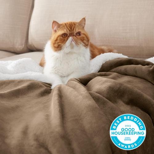 Bedsure GentleSoft Sherpa Fleece Blanket Queen Size for Bed, Non-Heated, Thick and Warm Throw for Women and Men, Soft Fuzzy Plush Queen Blanket for Winter, Camel, 90x90 Inches