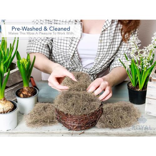 Royal Imports Preserved Natural Spanish Moss, Fresh Dried Shredded Loose Chunks, 3 LB Bulk Case