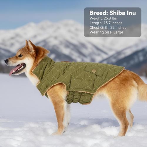 Dog Winter Coat, Warm Dog Jacket Windproof Waterproof Pet Cold Weather Coats for Small Dogs, Turtleneck Fleece Lined Dogs Clothes with Leash Hole, Green Medium (color pink)