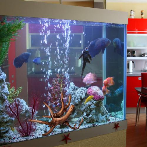 majoywoo Natural Large Driftwood for Aquarium Decor Reptile Decor, Assorted Spider Wood Branch 13-17 Long, Fish Tank Decoration