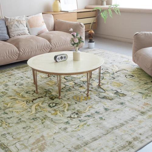 NORTHERN BROTHERS Washable Rug 6x9 - Area Rugs for Living Room Stain Resistant Non-Slip Backing Rugs for Bedroom, Low-Pile Vintage Large Area Rug