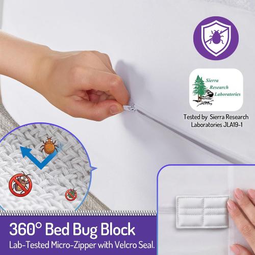 Degrees of Comfort Bed Bug Mattress Cover Queen Size - 13-15 Deep Pocket 3M Scotchgard Waterproof Zippered Encasement Protector, Breathable Cotton Terry Top