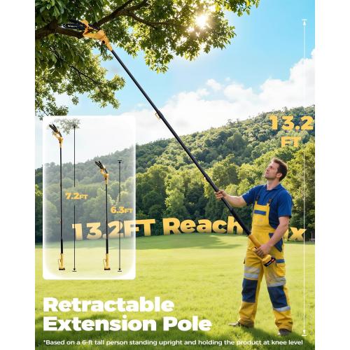 Cordless Pole Saw & Mini Chainsaw, 2-in-1 Lightweight Electric Pole Saw for Tree Trimming, Battery Powered with Brushless Motor, 2x2.0Ah Batteries (SN3014)