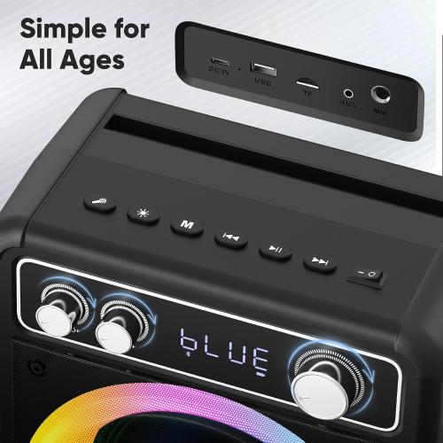 VOSOCO Karaoke Machine, Bluetooth Speaker with 2 Wireless Mics for Adults