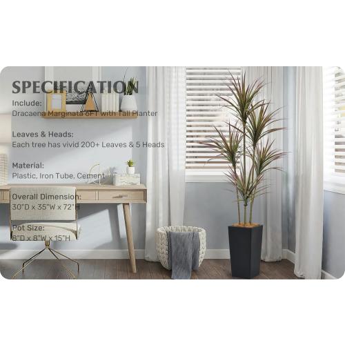 Size 6ft Artificial Dracaena Marginata Bicolor Tree 6FT with 200 Leaves & 5 Heads & White Tall Planter Cover with Coconut Fiber Tall Faux Tropical Yucca Silk Plant for Indoor Home Office Porch Decor