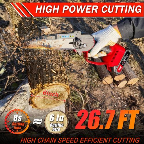 2-in-1 Electric Pole Saw, Cordless Pole Saw & 6 Inch Mini Chainsaw for Tree Trimming Trimmer Limb Branch Cutter Pruner with Extension Pole and 2×2.0Ah Battery Powered Pole Chain Saw, 16 Feet