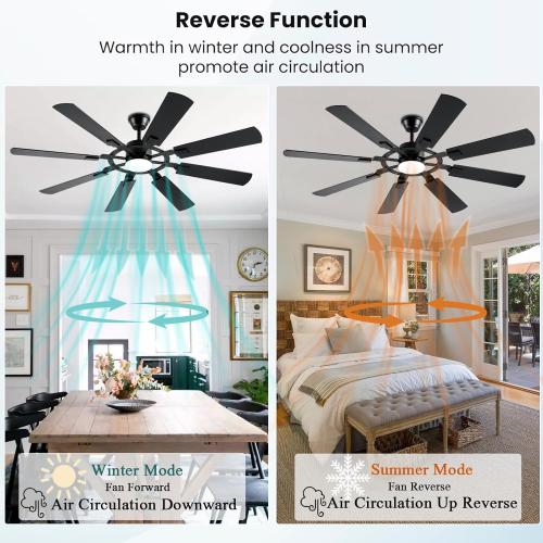 62 Inch Ceiling Fans with Lights, Large Low Profile Ceiling Fan with Remote Control, 8 Double Sided Blades, 6 Speed Reversible DC Motor, Silent Timing, Black Indoor Outdoor Ceiling Fan