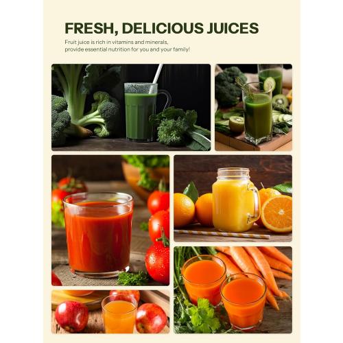 Masticating Juicer Machines, Reemix Cold Press juicer Machine Compact & Small Size, Juice Extractor, Nutrient and Vitamin Dense, BPA-Free Tritan, Easy to Clean (Silver)