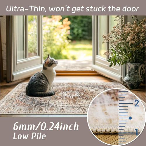 Madane Washable Area Rug 2x3, Small Entryway Rug Non-Slip Vintage Door Mat Indoor Entrance, Low Pile Floor Carpet for Inside Front Door Bedroom Kitchen Entry Laundry (2'x3', Turmeric/Grey)