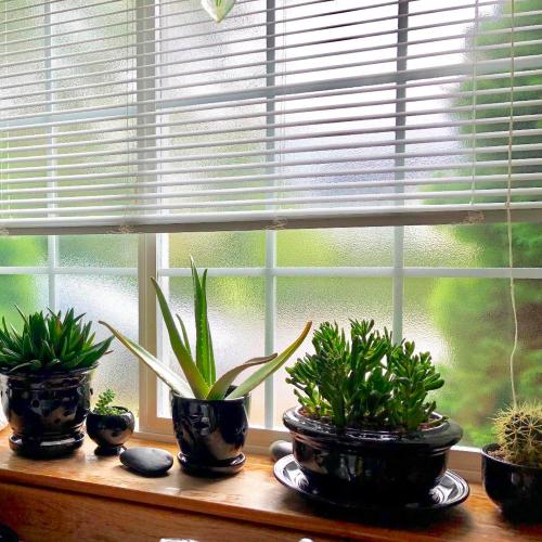 Crystal Etched Window Film Privacy Static Cling No Glue Anti UV 35x118in | Cover Decal Tint Decor Office Apartment Balcony Sun Blocking Light Filtering Glare Reduction Heat Control