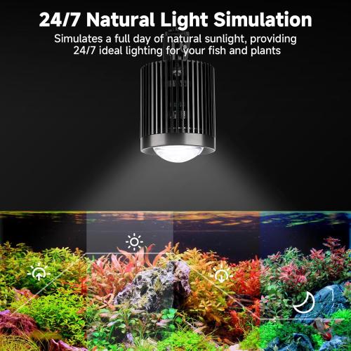 fishkeeper Clip On Aquarium Light, 24/7 Fish Tank Light with Timer, DIY 3 Colors & 10 Brightness Full Spectrum Aquarium LED Lights with Adjustable Metal Clamp for Freshwater Plants Fish Tanks (100W)