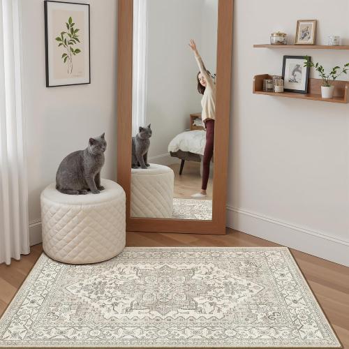 Madane Washable Area Rug 2x3 Small Entryway Rugs Non-Slip, Beige/Brown