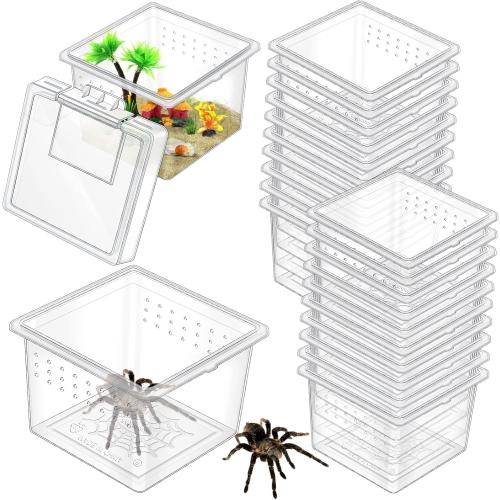 20 Pcs Insect Spider Terrariums Breeding Box Small Reptile Hatching Container Transparent Cricket Keeper Breeder Box Feeding Spider Cage with Lid for Scorpion Gecko Tortoise Centipede Tarantula
