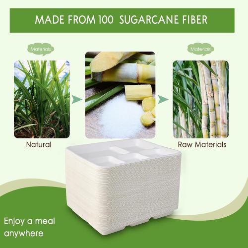 Vplus 100% Compostable 5 Compartment Plates 125 Pack Eco-Friendly Disposable Sugarcane 10 x 8 inch Bagasse School Lunch Tray Perfect for Boys and Girls