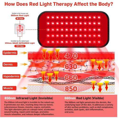 Red Light Therapy Belt, 3 in 1 LED Bead Infrared Light Therapy for Body, Wearable Wrap with Timer for Back Shoulder Waist 660nm Red Light-Therapy & 850nm Infrared Light Device Home Use (Corded)