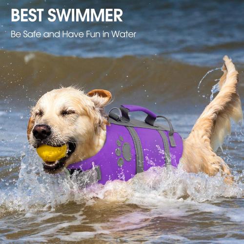Queenmore Puppy Life Jacket, XS Dog Life Vest for Swimming, Cat Lifevest
