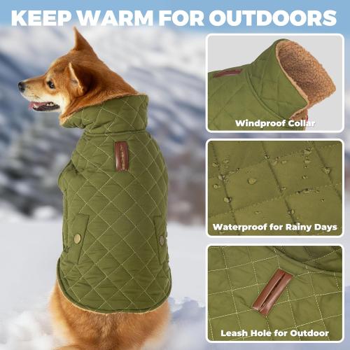 Dog Winter Coat, Warm Dog Jacket Windproof Waterproof Pet Cold Weather Coats for Small Dogs, Turtleneck Fleece Lined Dogs Clothes with Leash Hole, Green Medium (color pink)