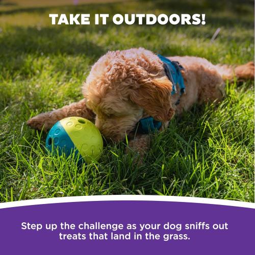 Outward Hound by Nina Ottosson Treat Tumble Interactive Puzzle Ball Dog Toy, Level 1 Beginner, Blue, Small (4.75 Diameter)