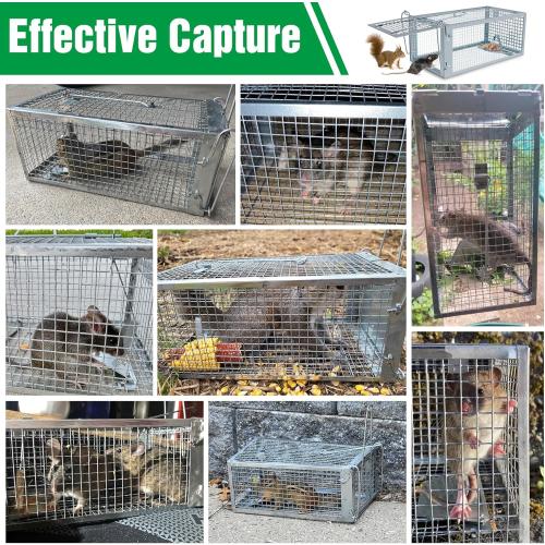 2 Packs Humane Rat Trap Outdoor, Wanqueen Humane Mouse Traps Indoor for Home, Small Rodent Chipmunk Trap and Other Live Animal Cage Catch and Release