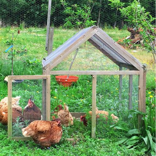 Hardware Cloth 1/4 inch 23 Gauge, Hot-dip Galvanized After Welding, Chicken Coop Wire Fence Wire Mesh Screen, Rabbit/Snake Fences, Netting Wire Cloth Galvanized Wire Mesh Roll