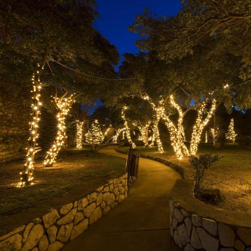 Incandescent Mini String Lights, Indoor Mini Tree Lights, Outdoor Christmas Mini Lights, Colorful Christmas Mini Lights, Green Wire (100 Lights / 2.5” Spacing / 21 Ft, Gold)