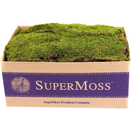 SuperMoss (21508) Preserved Sheet Moss, Fresh Green, 5 Pounds