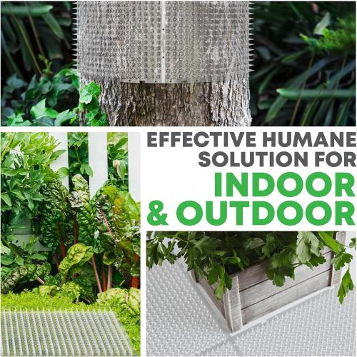 Petfolio 12 Pack Scat Mat for Cats - 16 x 13 Inch Cat Spike Mat with 1 Inch Spike is A Perfect Pet Training Mat Device for Cat Repellent Indoor & Outdoor to Deter Cats & Other Animals for All Seasons