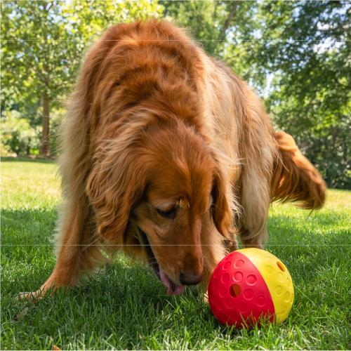 Outward Hound Nina Ottosson Treat Tumble Dog Toy Puzzle Ball,