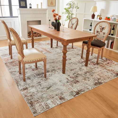 Dintszyayue Small Rugs for Bedroom 3X5 Washable Foldable Thin Neutral Soft Modern Living Room Rug Kitchen Accent Brown